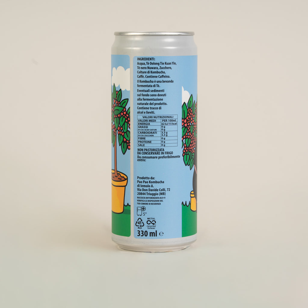 Pào Pào Kombucha 330ml Orsonero Specialty Coffee