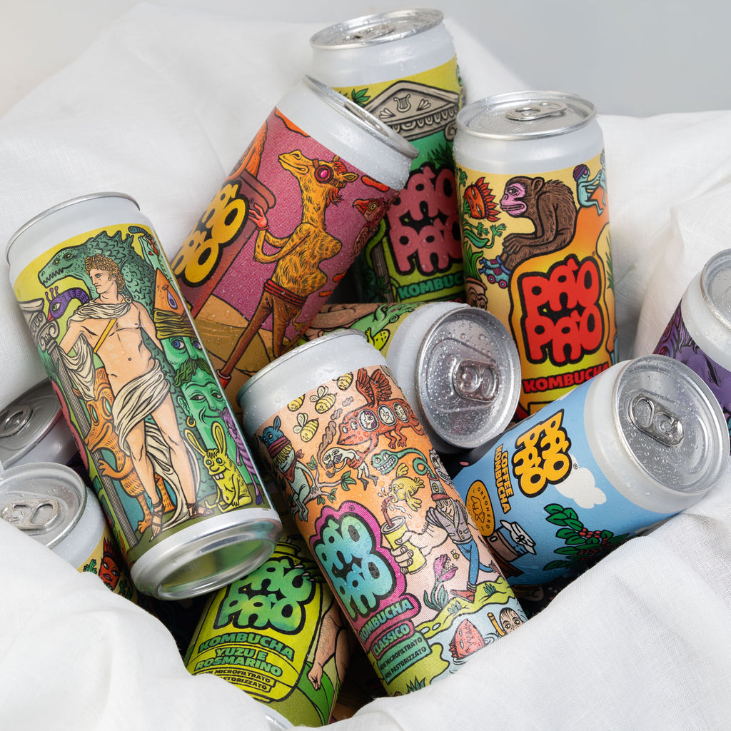ScatolaMix Pào Pào box misto di lattine di kombucha artigianale