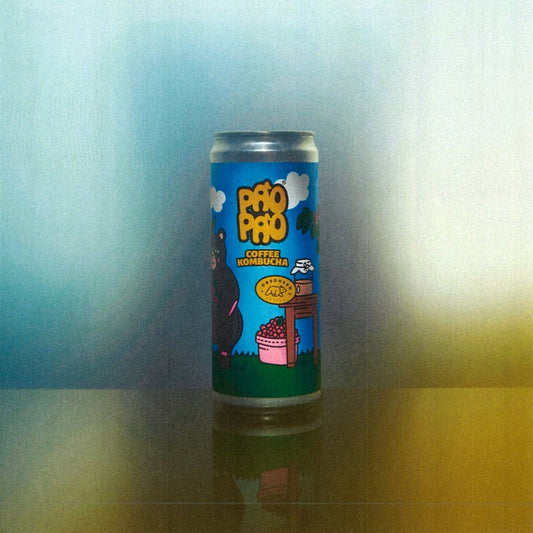 Pào Pào Kombucha 330 ml Orsonero Spezialitätenkaffee